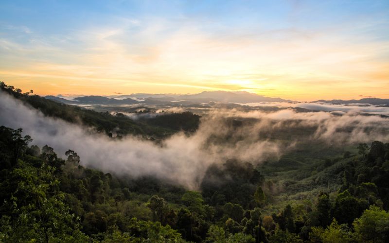 South India Highland Discovery Tour